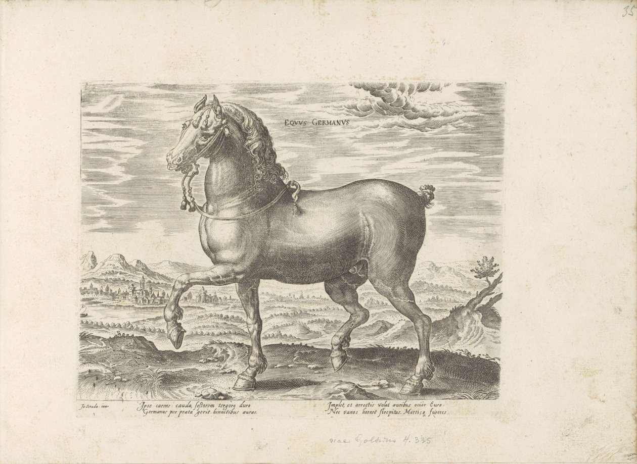 Duits paard Tysk hest (titel på objekt) Paardenrassen uit de Koninklijke stallen van Don Juan van Austria (serietitel) Hesten, hvor alle former for adelsmænd: hestes opførsel adskilt fra forskellige dele af verden udvalgt (...) (serietitel på ob af Anonymous