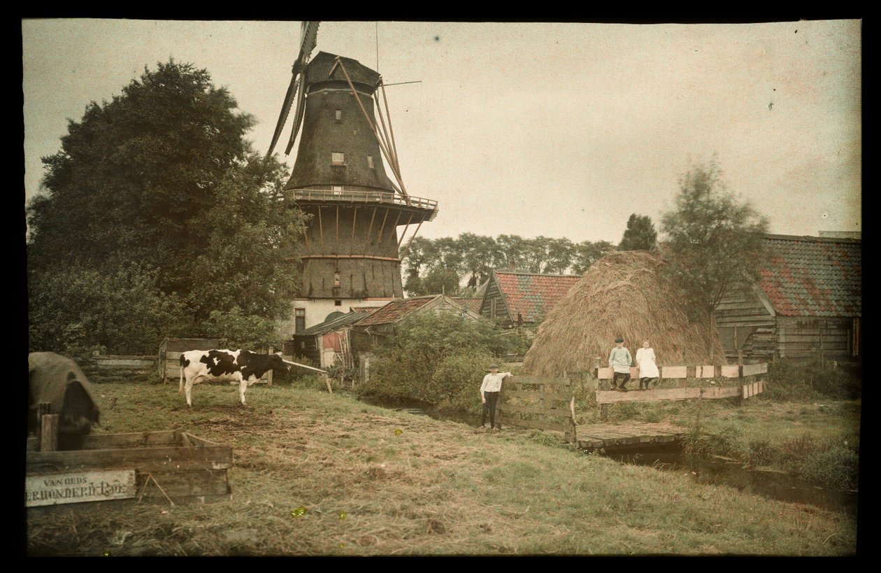 Gårdscene, med en vindmølle, bundet ko og poserende børn, Holland af Anonymous