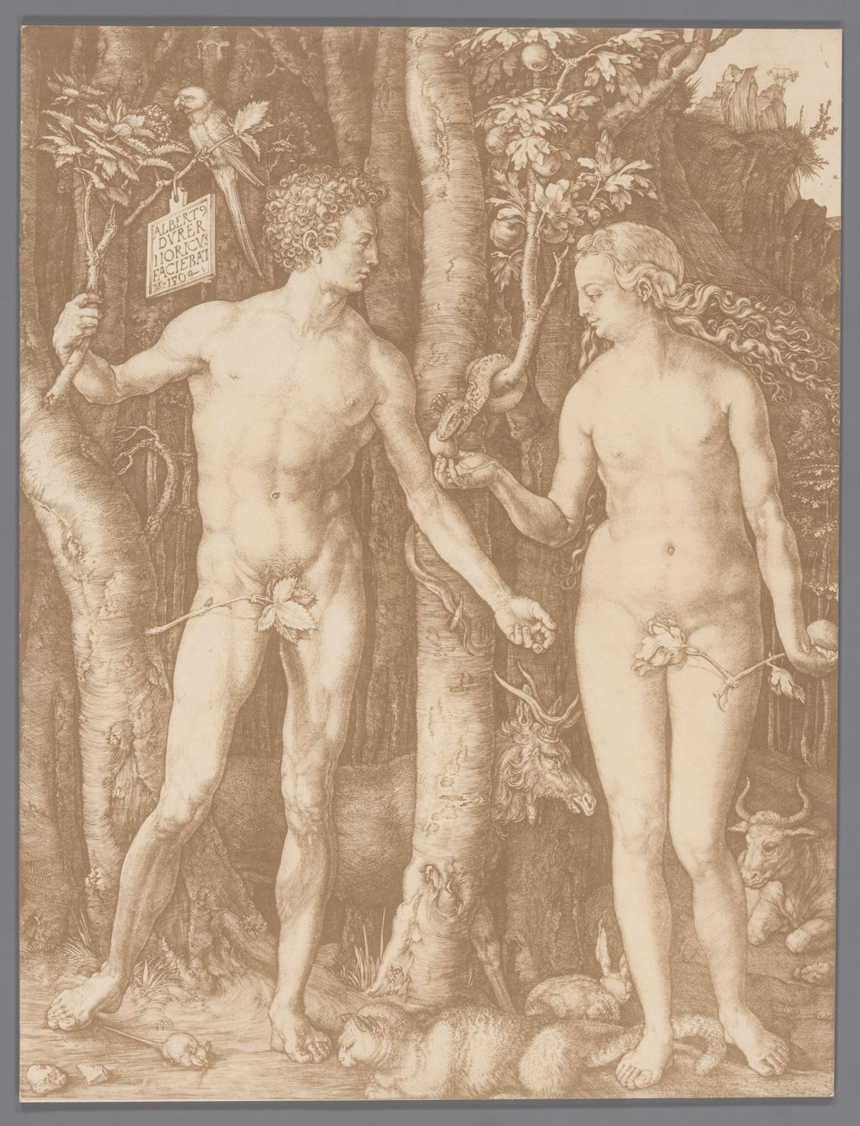 Fotoreproduktion af graveringen Adam og Eva af Albrecht Dürer af Anonymous