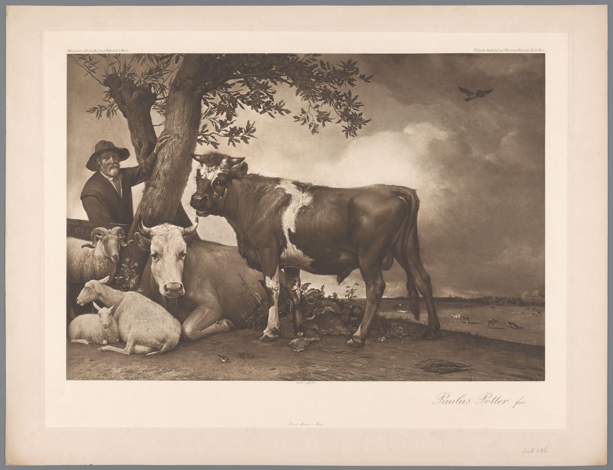 Fotogengivelse af maleriet Tyren af ​​Paulus Potter, saml. Mauritshuis 1904 - Nej. 54. / Konigl. Museum i Haag (serietitel) af Anonymous