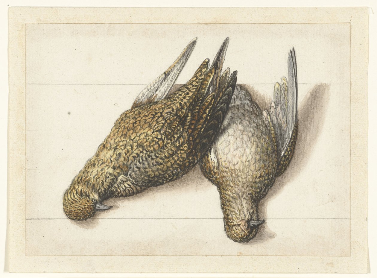 Goudplevier Lombard album (serietitel) af Anonymous