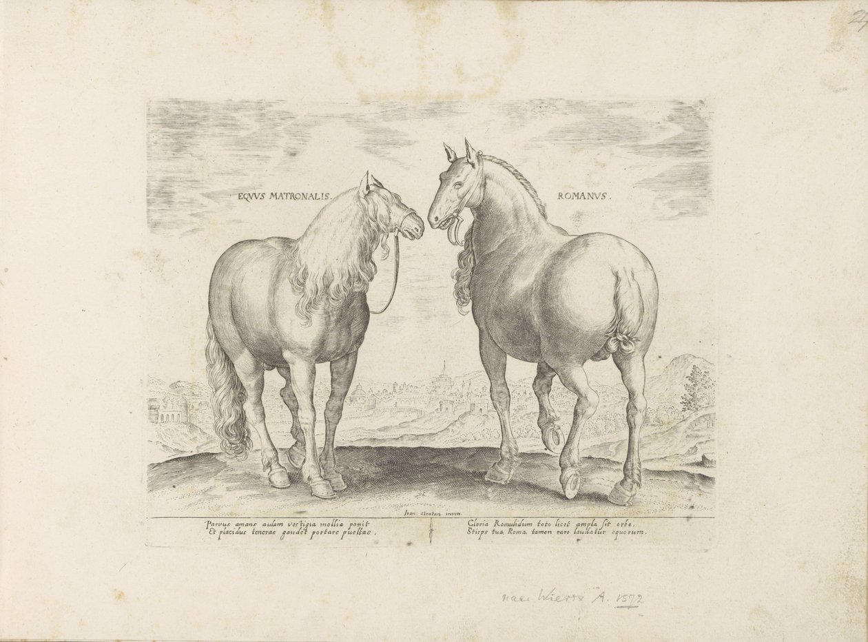 Hengst en merrie uit Rom Roman Matronal Horse (titel på objekt) Paardenrassen uit de Koninklijke stallen van Don Juan van Austria (serietitel) Hesten, hvor alle slags adelige: adfærden hos heste udvalgt fra forskellige dele af verden skelnes ( af Anonymous