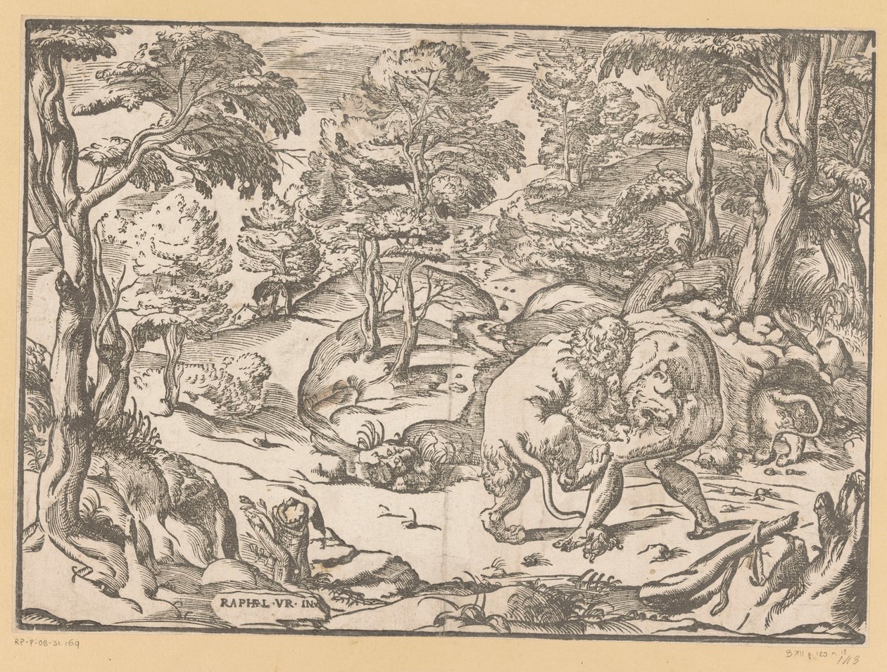 Hercules og Nemean Lion af Anonymous