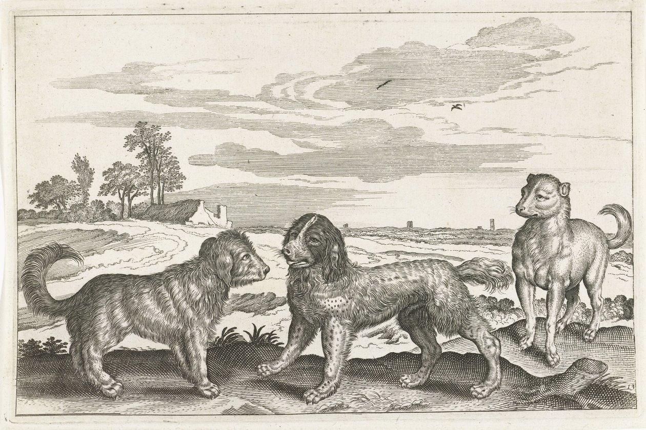 hunde Firebenede dyr (serietitel) Animalivm Qvaddrvpedvm (serietitel) af Anonymous