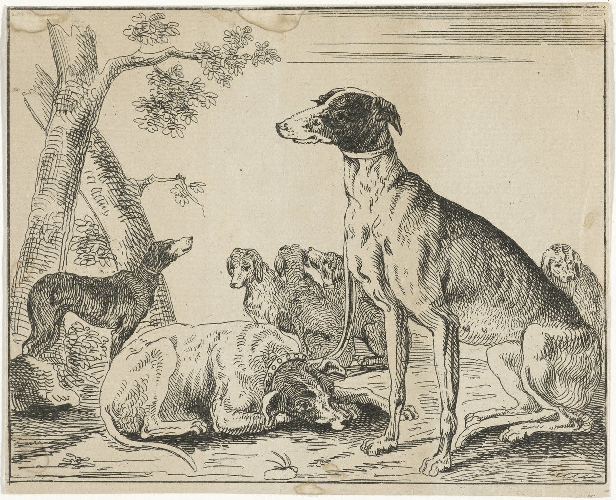 hundekennel af Anonymous