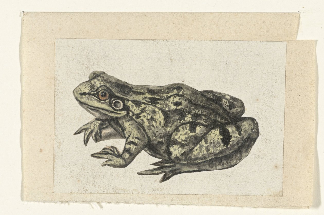 Blikke Lombard album (serietitel) af Anonymous
