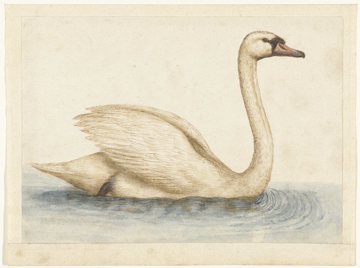 stumsvane Lombard album (serietitel) af Anonymous
