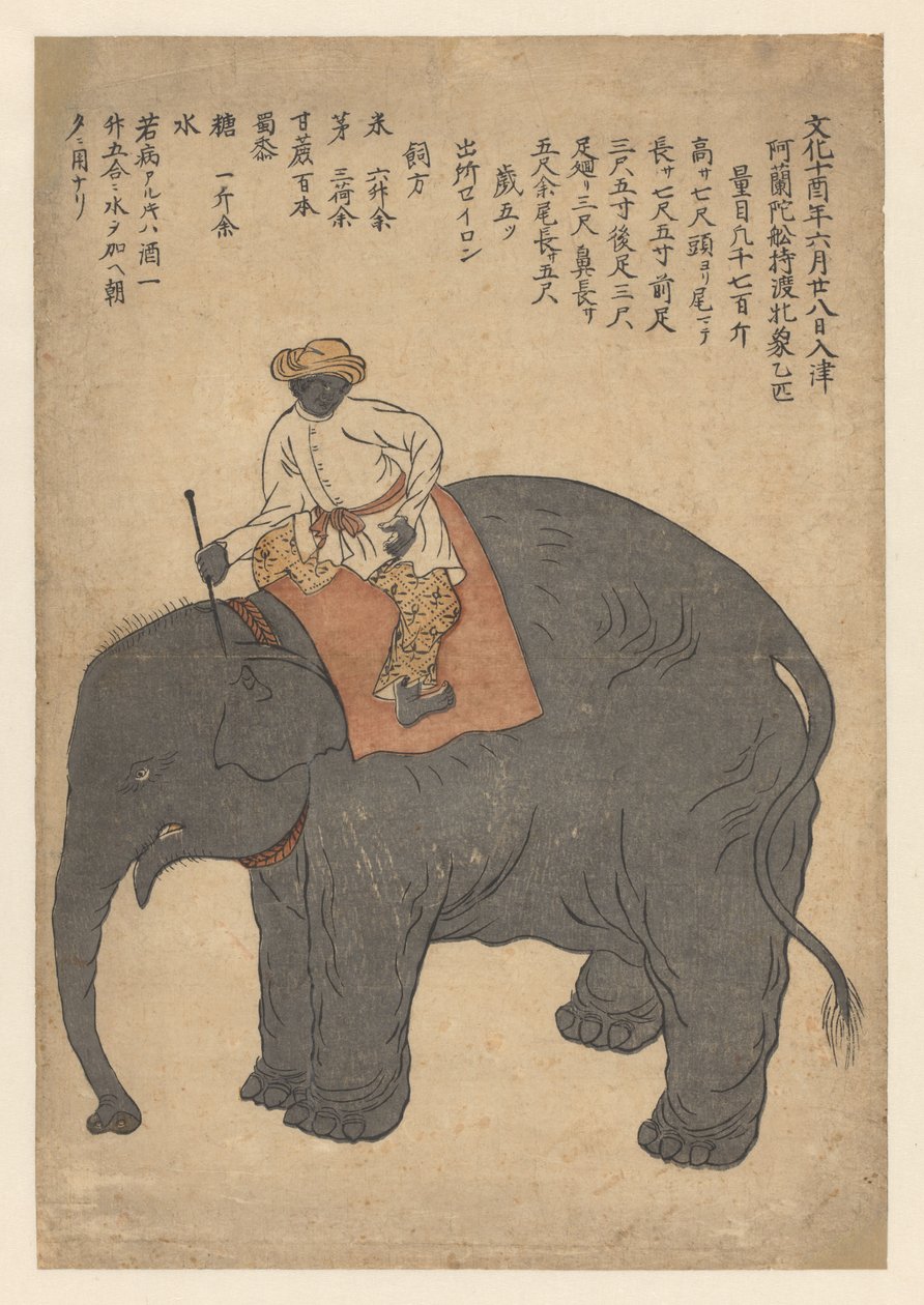 Elefant bragt af et hollandsk skib i 1813 af Anonymous