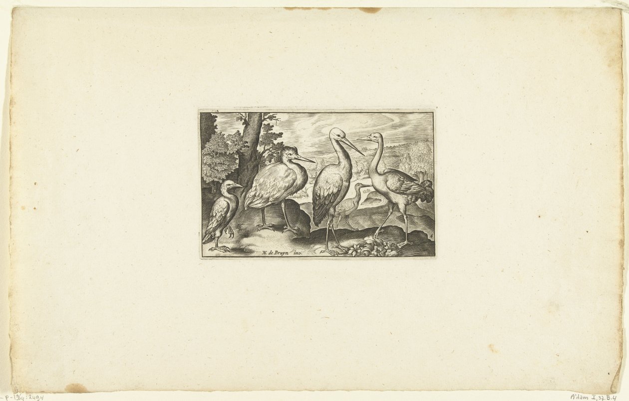 Stork mellem to andre fugle Volatilium varii generis (...) (serietitel) af Anonymous