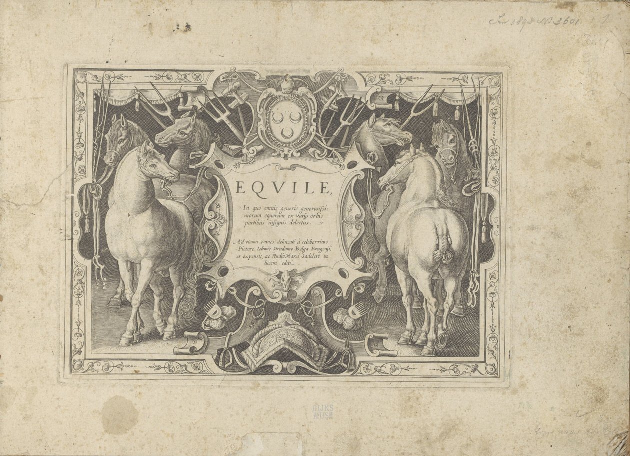 Ornamenteel cartouche met titel geflankeerd door paarden Hesten, hvor alle slags adelige: hestes opførsel adskilt fra forskellige dele af verden udvalgt (...) (serietitel på objekt) af Anonymous