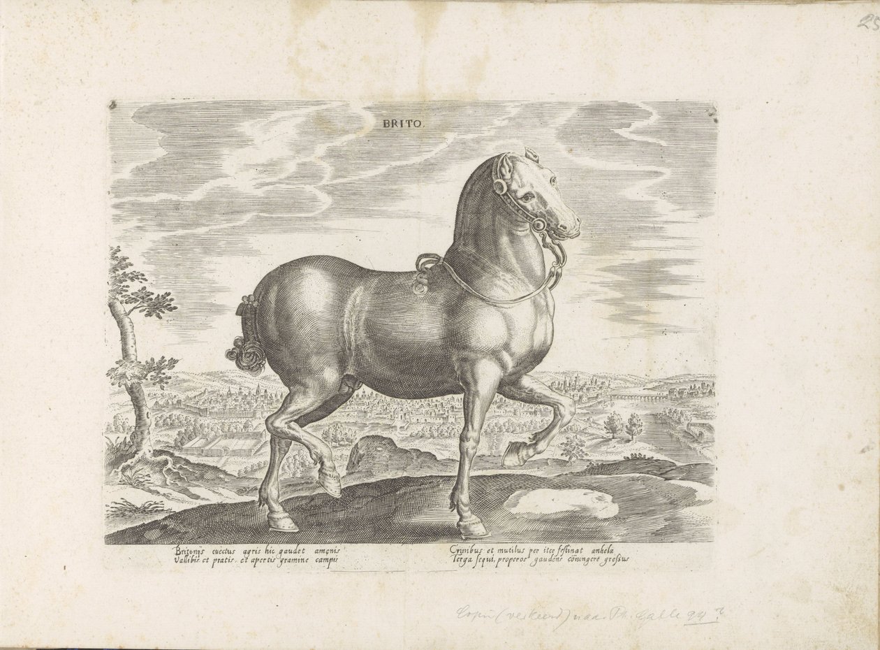 Paard uit Engeland Brito (titel på objekt) Paardenrassen uit de Koninklijke stallen van Don Juan van Austria (serietitel) Hesten, hvor alle slags adelige: hestes opførsel adskilt fra forskellige dele af verden udvalgt (...) (serietitel på obje af Anonymous