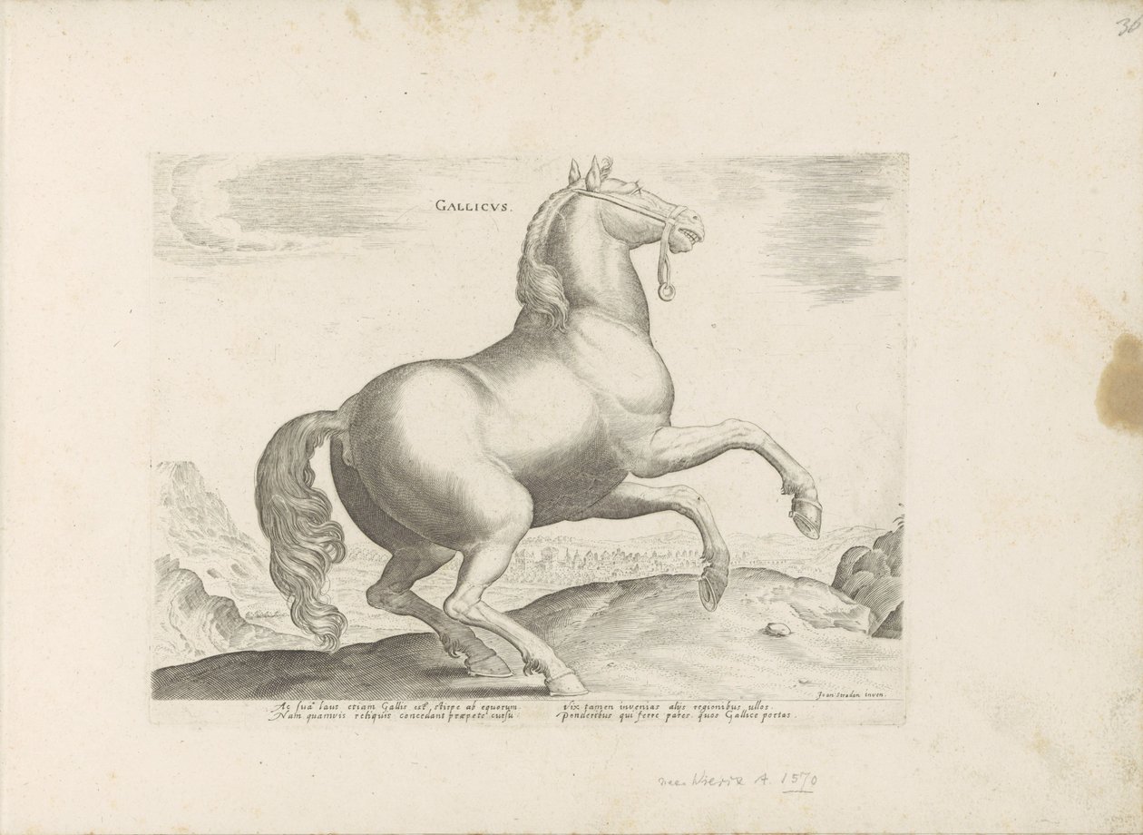 Paard ud Frankrig Fransk (titel på objekt) Paardenrassen uit de Koninklijke stallen van Don Juan van Austria (serietitel) Hesten, hvor alle former for adelsmænd: hestes opførsel adskilt fra forskellige dele af verden udvalgt (...) (serietitel på af Anonymous