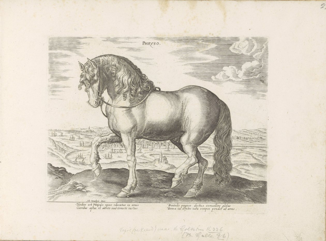 Paard ud Friesland Phryso (titel på objekt) Paardenrassen uit de Koninklijke stallen van Don Juan van Austria (serietitel) Hesten, hvor alle former for adelsmænd: hestes opførsel adskilt fra forskellige dele af verden udvalgt (...) (serietitel på ob af Anonymous