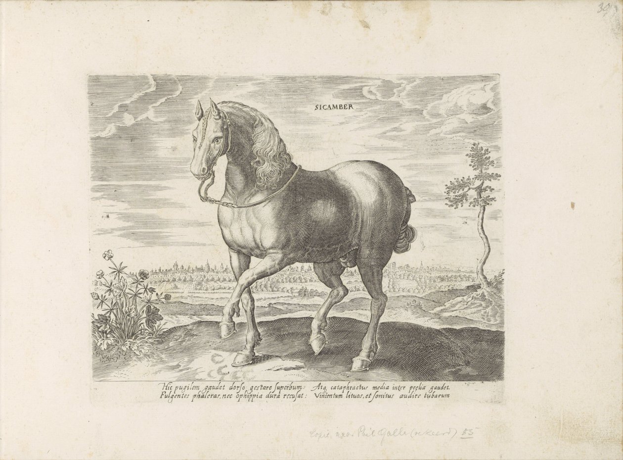 Paard uit Gelre Sicamber (titel på objekt) Paardenrassen uit de Koninklijke stallen van Don Juan van Austria (serietitel) Hesten, hvor alle slags adelige: hestes opførsel adskilt fra forskellige dele af verden udvalgt (...) (serietitel på obje af Anonymous