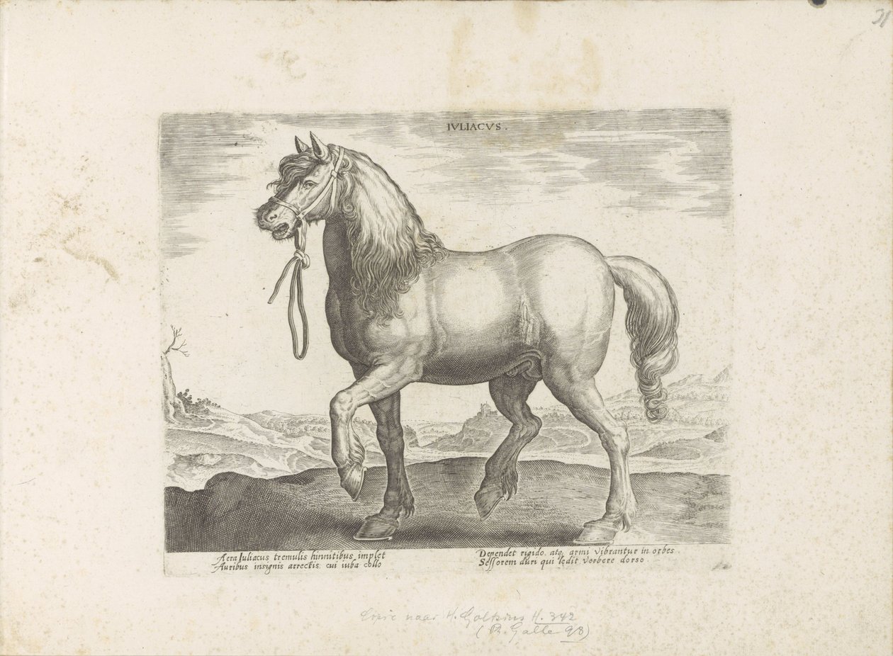 Paard uit Gulik (Juliacus) Julia (titel på objekt) Paardenrassen uit de Koninklijke stallen van Don Juan van Austria (serietitel) Hesten, hvor alle slags adelige: udvalgt fra forskellige dele af verden kendetegnet ved opførsel af heste (...) (serie af af Anonymous