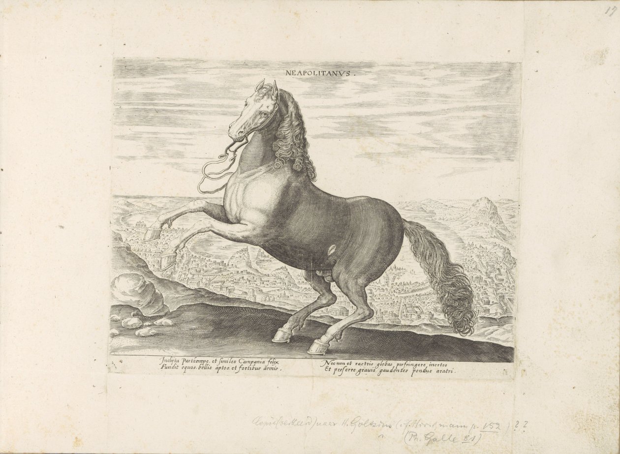 Paard ud Napoli napolitansk (titel på objekt) Paardenrassen uit de Koninklijke stallen van Don Juan van Austria (serietitel) Hesten, hvor alle former for adelsmænd: hestes opførsel adskilt fra forskellige dele af verden udvalgt (...) (serietitel på af Anonymous