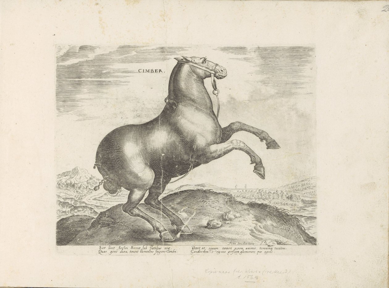 Paard ud Scythia Cimber (titel på objekt) Paardenrassen uit de Koninklijke stallen van Don Juan van Austria (serietitel) Hesten, hvor alle slags adelige: hestes opførsel adskilt fra forskellige dele af verden udvalgt (...) (serietitel på obje af Anonymous