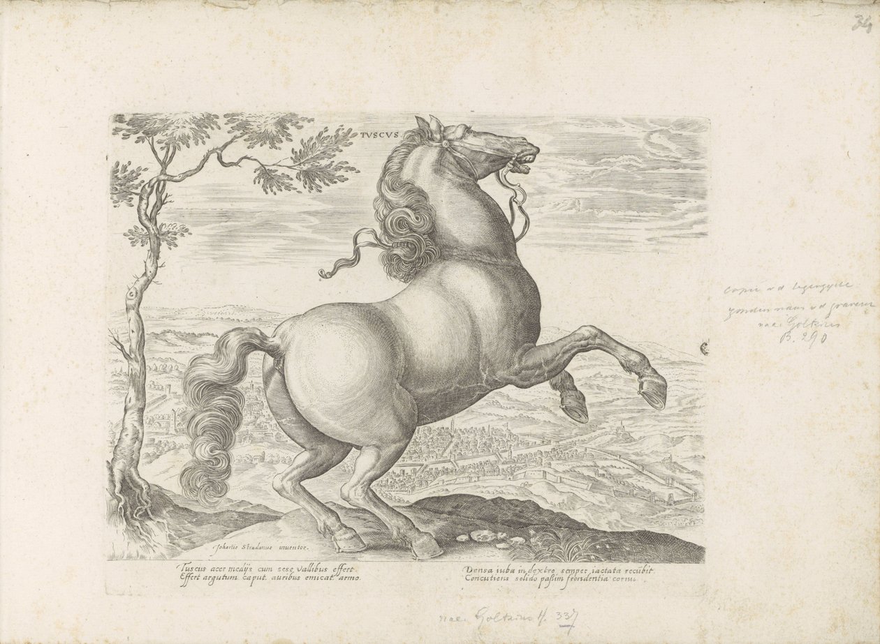 Paard ud Toscane Toscana (titel på objekt) Hesten, hvor alle slags adelige: hestes opførsel adskilt fra forskellige dele af verden udvalgt (...) (serietitel på objekt) af Anonymous