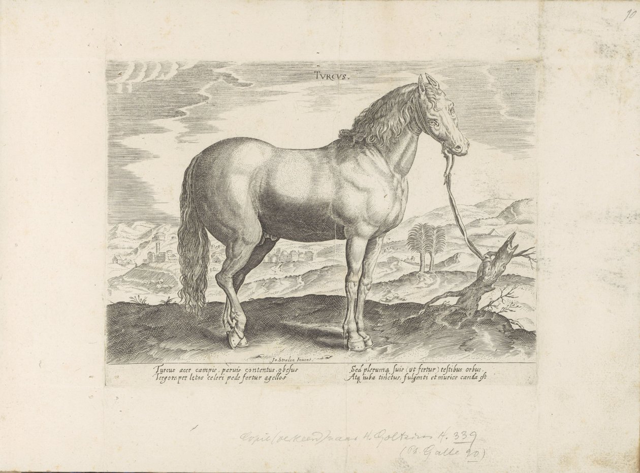 Paard ud Tyrkiet Tyrkisk (titel på objekt) Paardenrassen uit de Koninklijke stallen van Don Juan van Austria (serietitel) Hesten, hvor alle slags adelige: hestes opførsel adskilt fra forskellige dele af verden udvalgt (...) (serietitel på obje af Anonymous