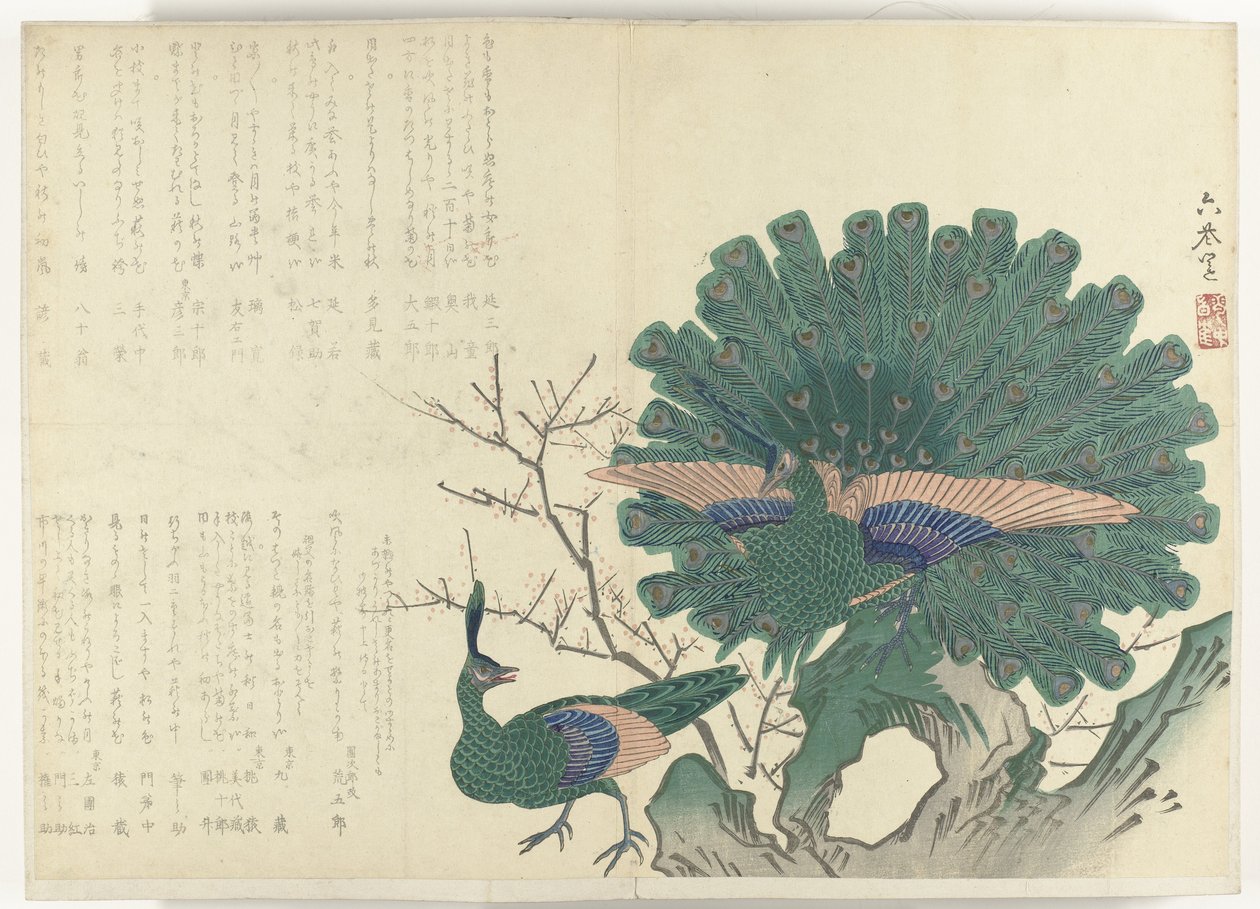 påfugle Album Shijo-surimono fra perioden 1840-1900 (serietitel) af Anonymous