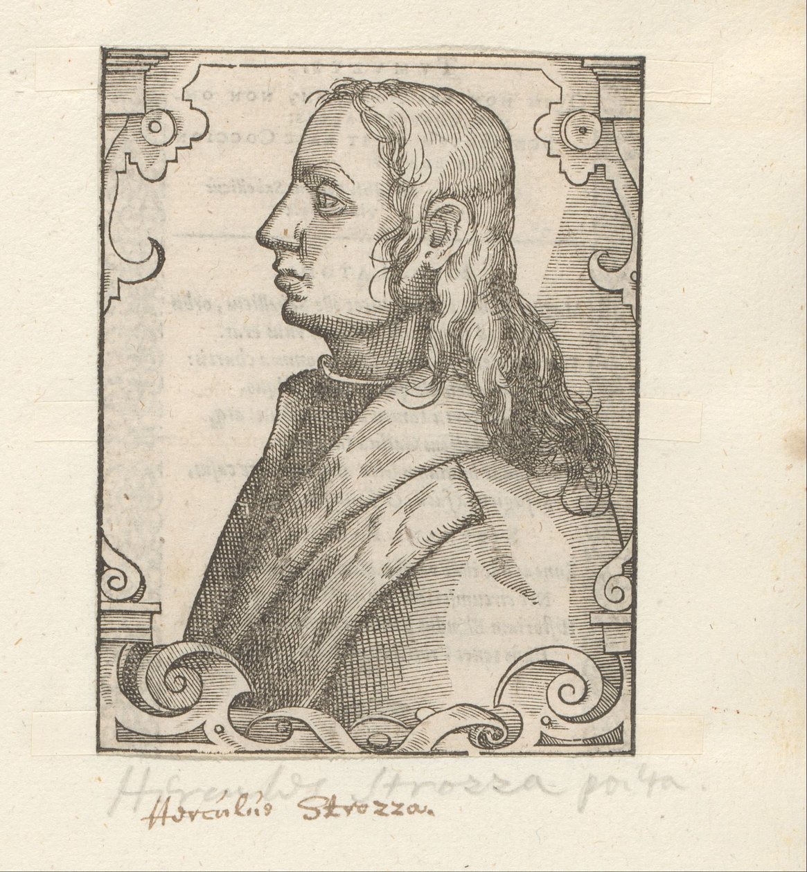 Portret af Ercole Strozzi af Anonymous