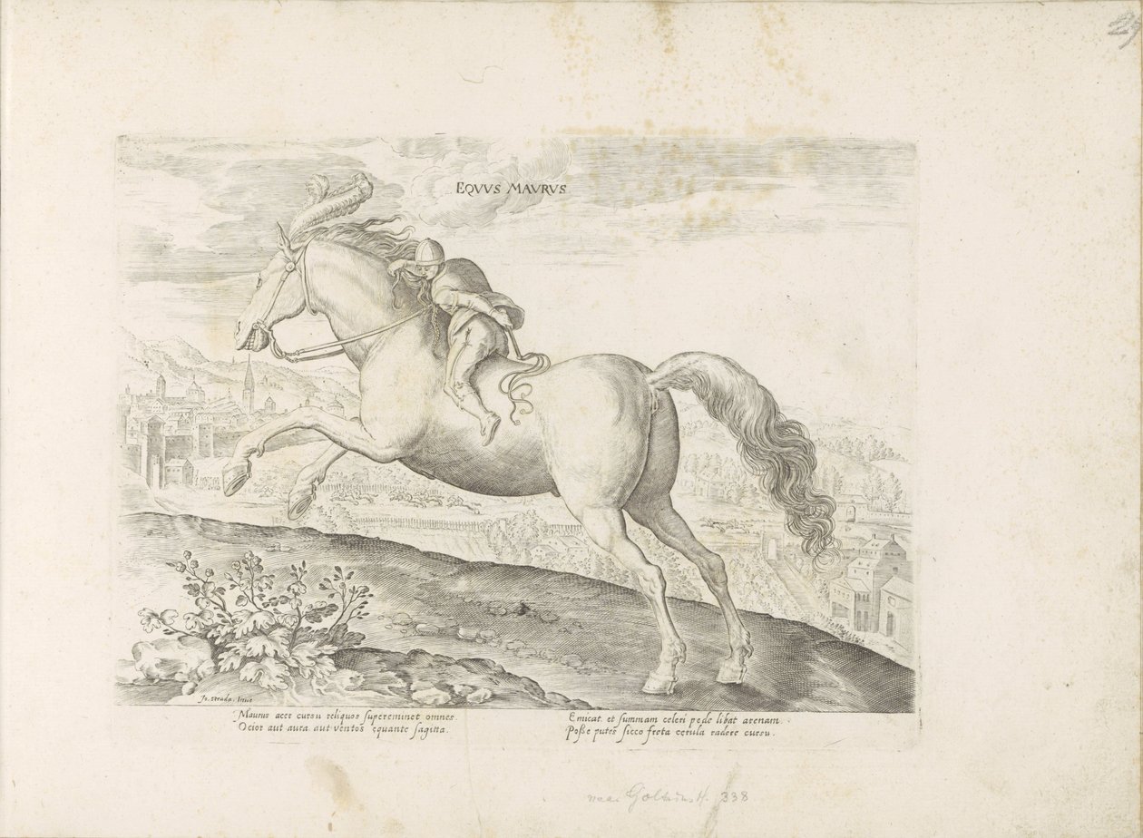 Renpaard mødte Ruiter maurisk hest (titel på objekt) Paardenrassen uit de Koninklijke stallen van Don Juan van Austria (serietitel) Hesten, hvor alle former for adelsmænd: opførsel af heste adskilt fra forskellige dele af verden udvalgt (...) (serietitel af Anonymous