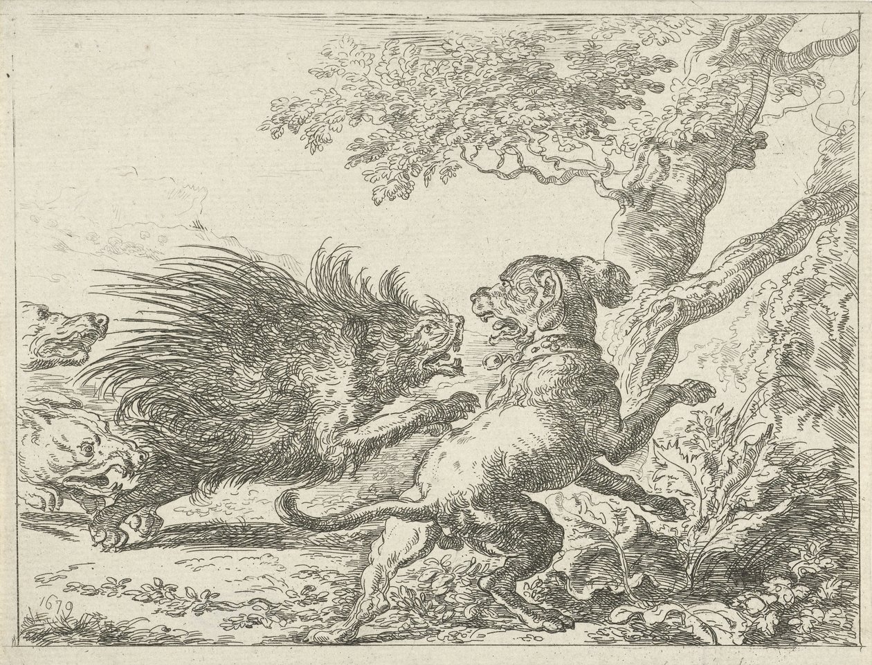 Porcupine angrebet af hunde af Anonymous