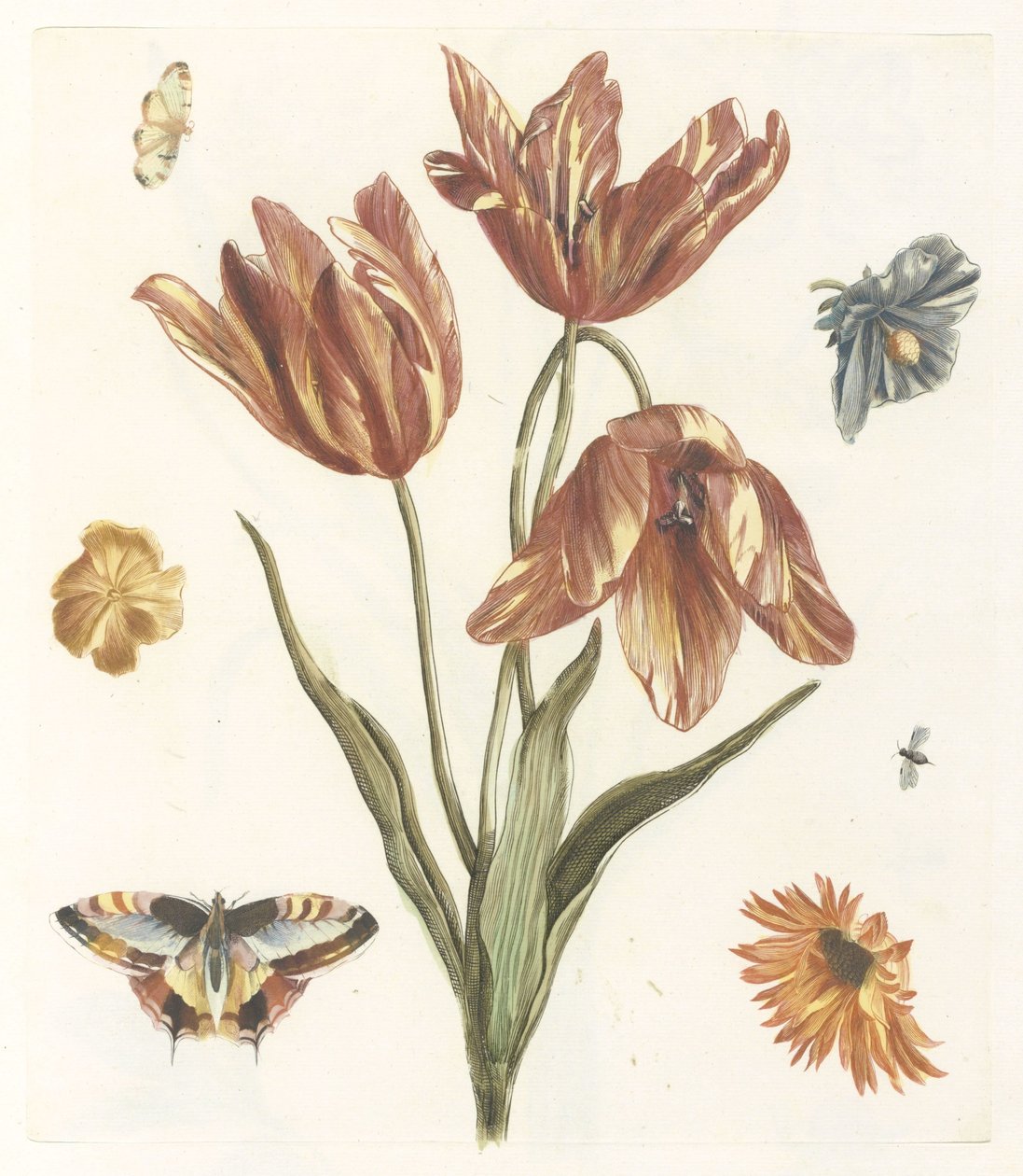 Tulipaner, andre blomster, sommerfugle og en flue af Anonymous