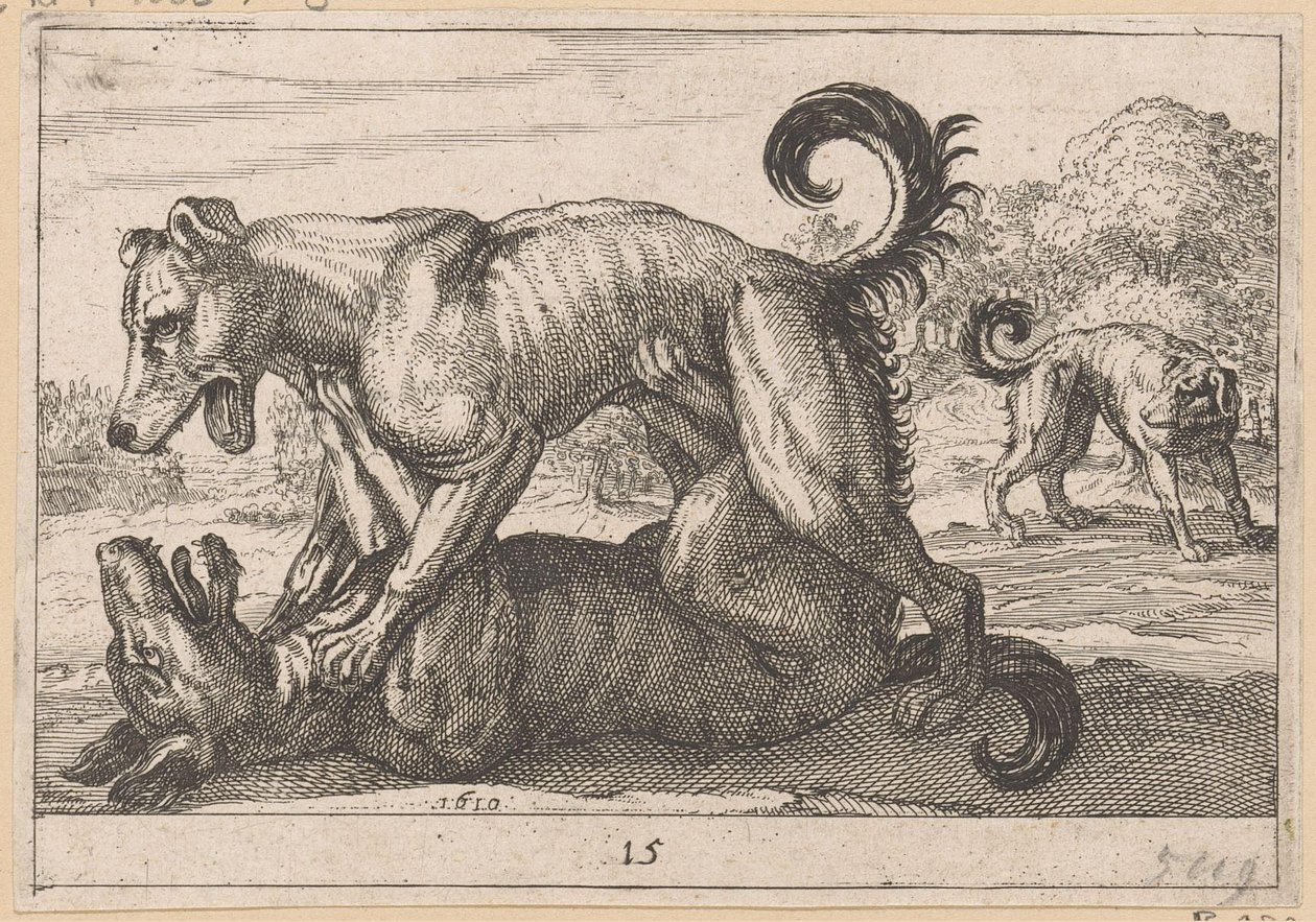 To parrings- og to kamphunde Fighting Animals (kopier) (serietitel) af Anonymous