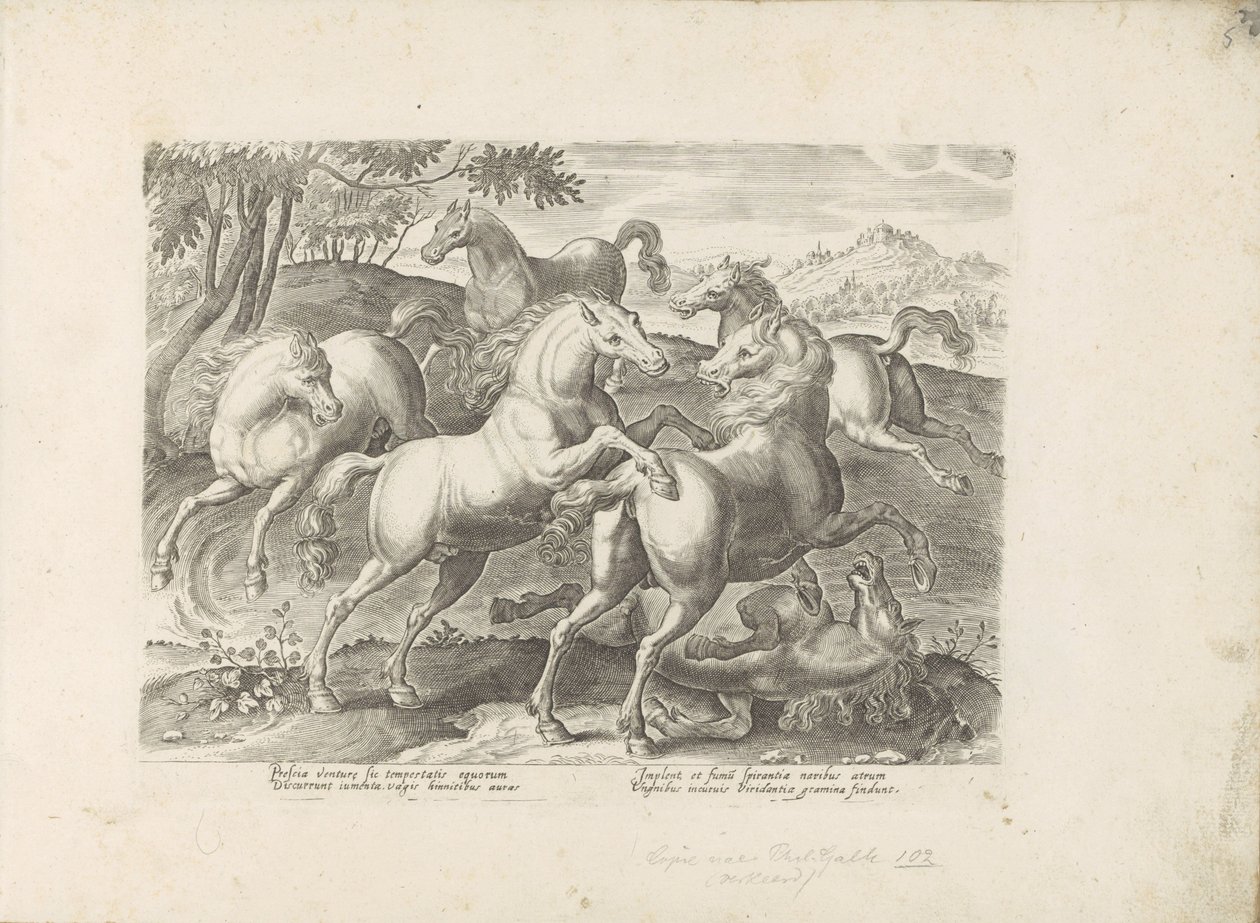 Vechtende paarden met een onder de voet gelopen paard Hesten, hvor alle slags adelige: hestes opførsel adskilt fra forskellige dele af verden udvalgt (...) (serietitel på objekt) af Anonymous
