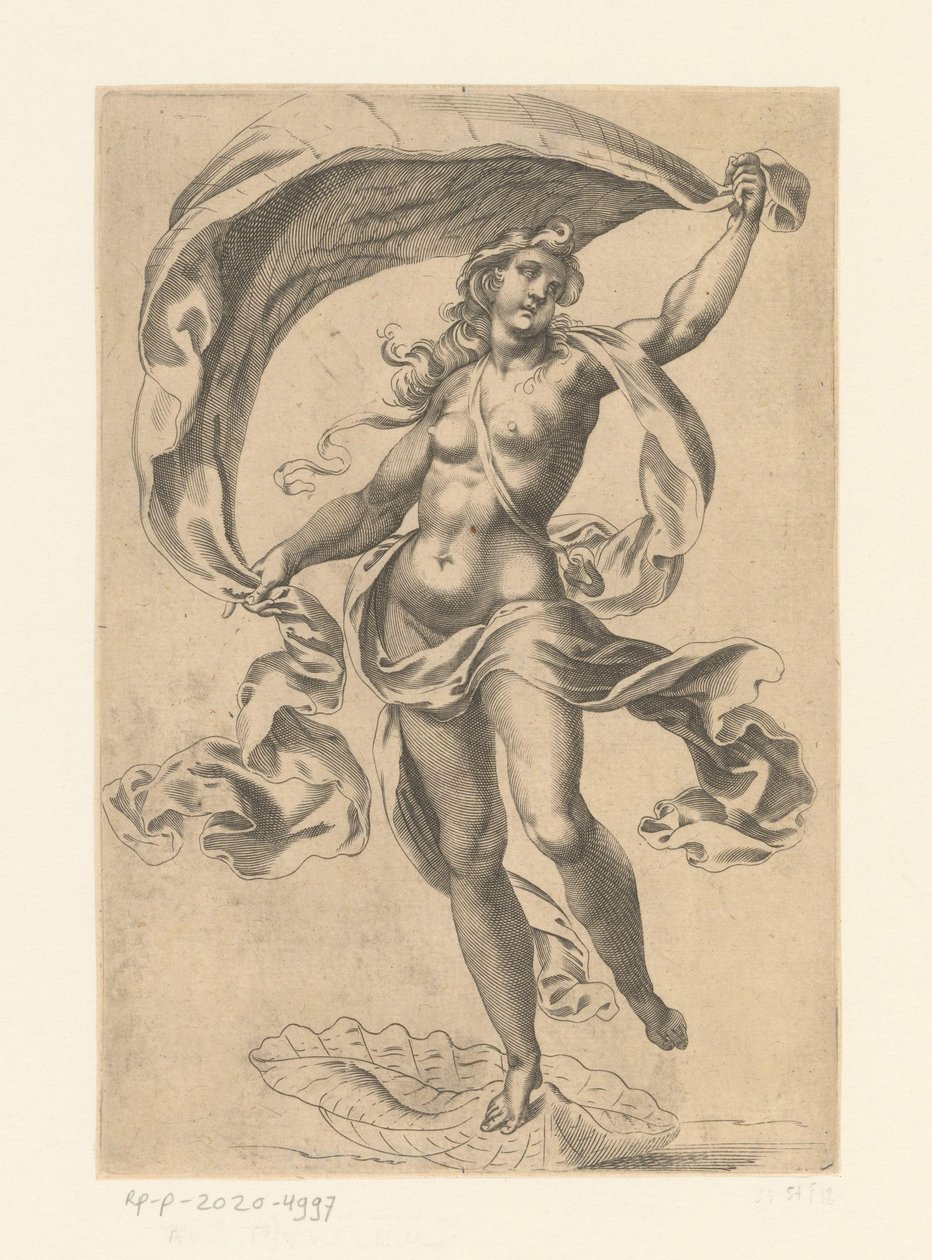 marine venus af Anonymous