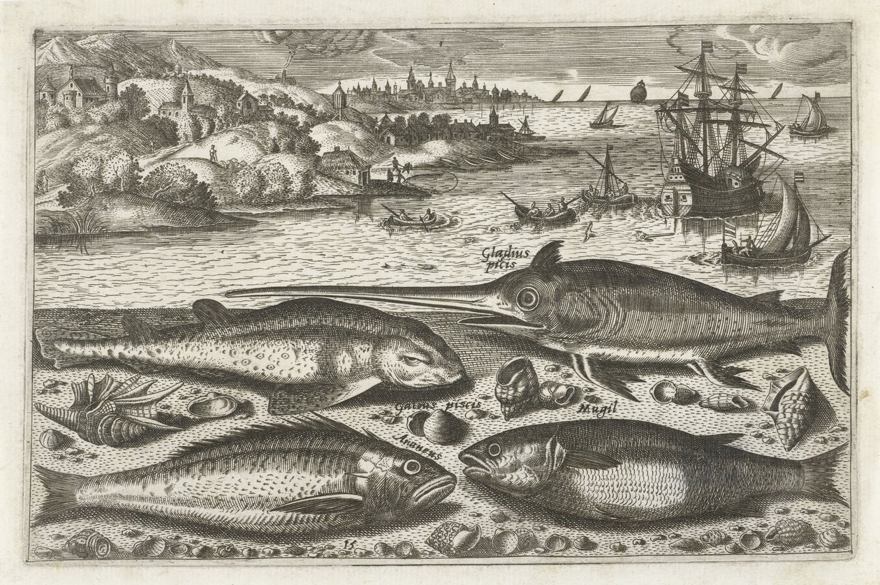 Fire fisk på stranden Fiskeri (serietitel) Piscium vivae-ikoner (serietitel) af Anonymous
