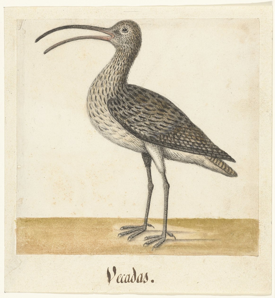 Wulp Vecadas (titel på objekt) Lombard album (serietitel) af Anonymous