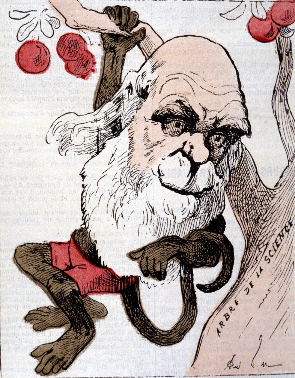 Karikatur af Charles Robert Darwin (1809 - 1882) i ""La Lune"" af Anonymous Anonymous