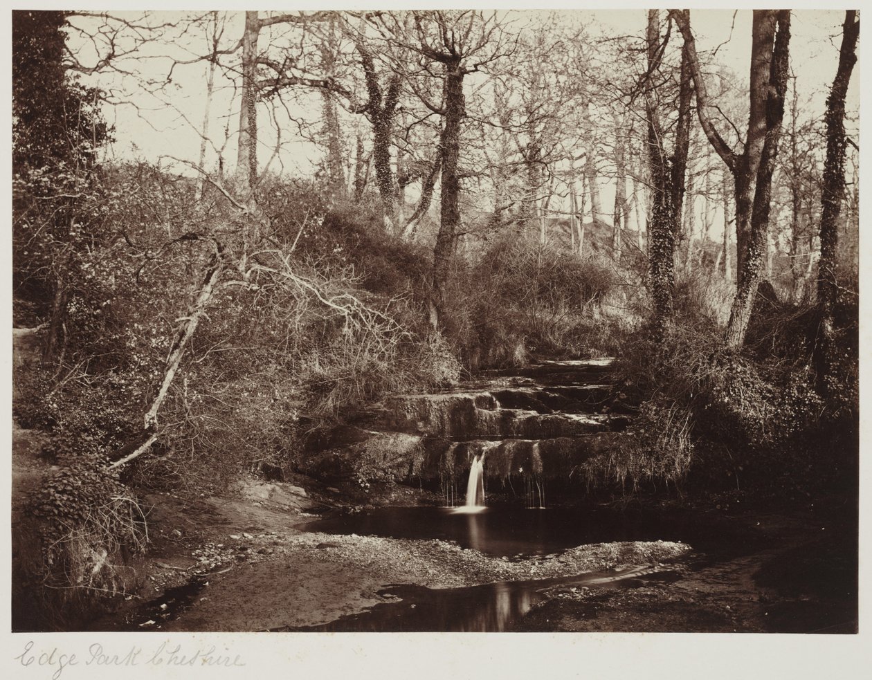 Edge Park, Cheshire, ca. 1865 (albumintryk fra glasnegativ) af Anonymous Anonymous