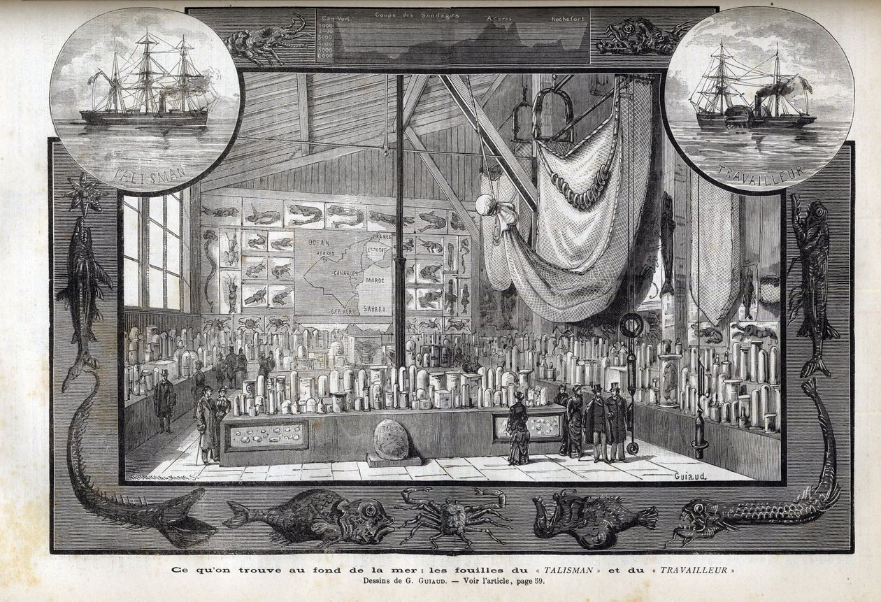Udstilling på Museum of Natural History i Paris af samlingerne dannet under krydstogterne - Videnskabelige ekspeditioner af arbejderen og talismanen i årene 1880 af Anonymous Anonymous
