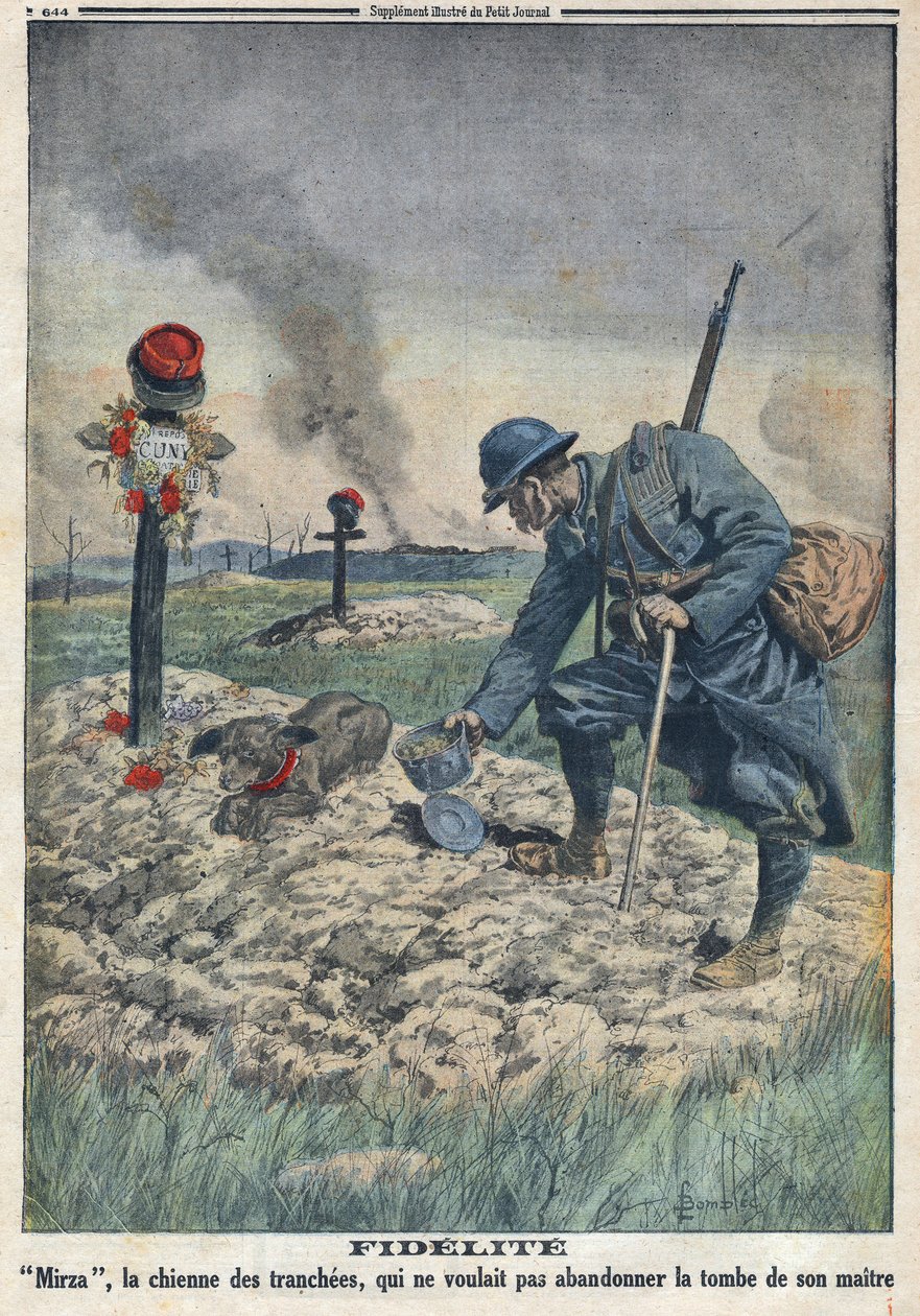 Første Verdenskrig 1914-1918 (Krig 14-18). En hund, der nægter at forlade sin døde herres grav i skyttegraven. I "" Le Petite Journal"", den 10/09/1916. Privat samling af Anonymous Anonymous
