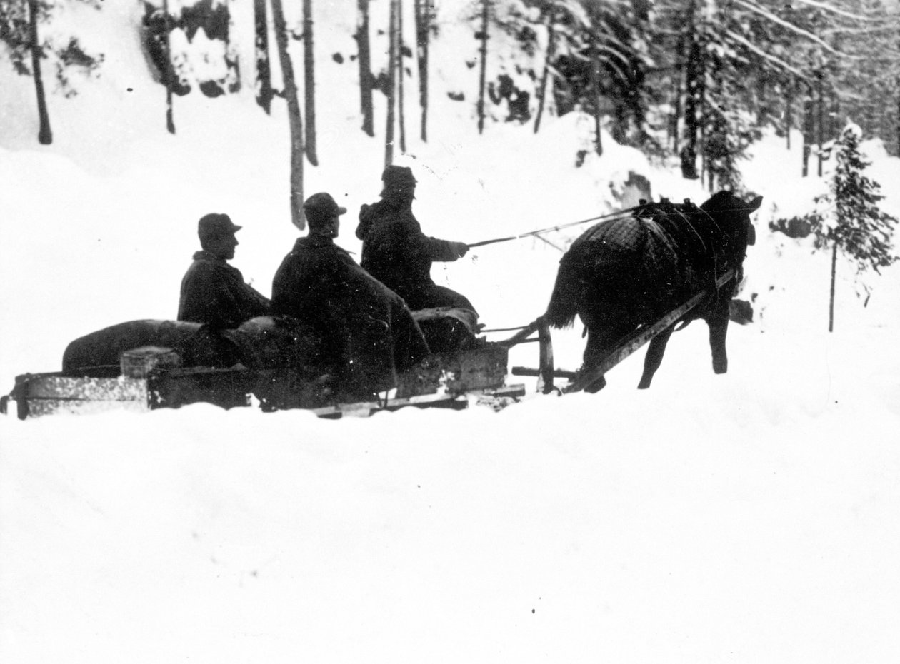 Første Verdenskrig, Carso Front: Italienske alpejægere (alpino eller alpini) med mad på slæder af Anonymous Anonymous