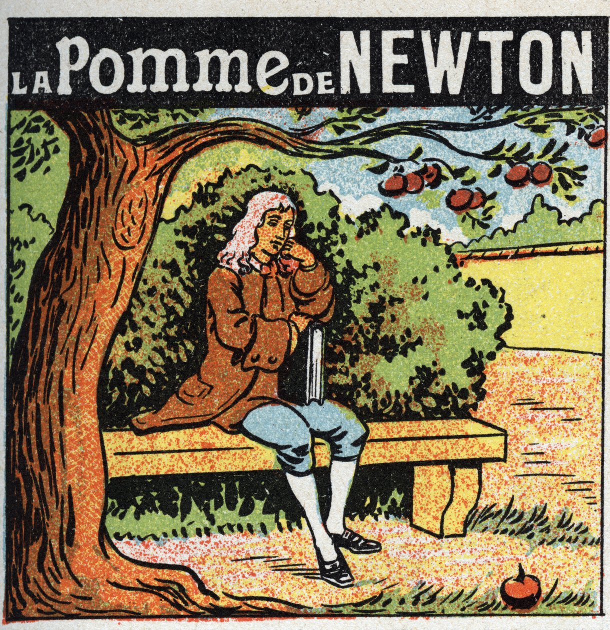 Gravitation: Newtons æble. Isaac Newton (1642-1727) observerer et æble falde fra et æbletræ og opdager lovene for jordens tyngdekraft (gravit). Anonym illustration fra 1925. Privat samling. af Anonymous Anonymous