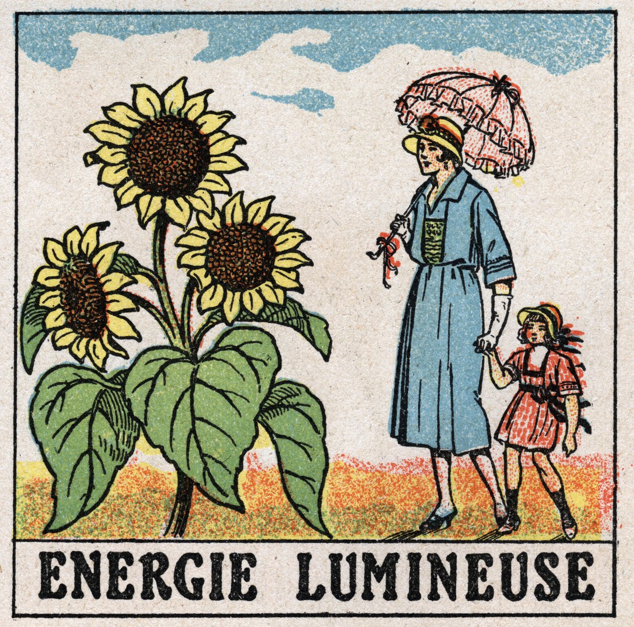 Lysenergi: solsikke påvirkes af sollys. Anonym illustration fra 1925. Privat samling. af Anonymous Anonymous