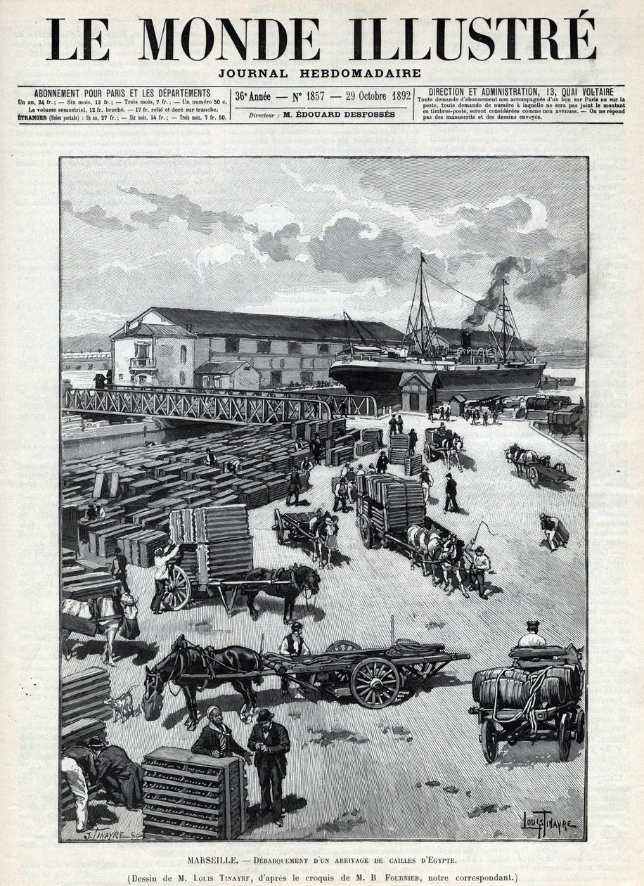 Maritim handel: gøen af en ankomst af vagtler fra Egypten i havnen i Marseille. En avis. Stik i “Le monde illustree”” fra 1892. Privat samling. af Anonymous Anonymous