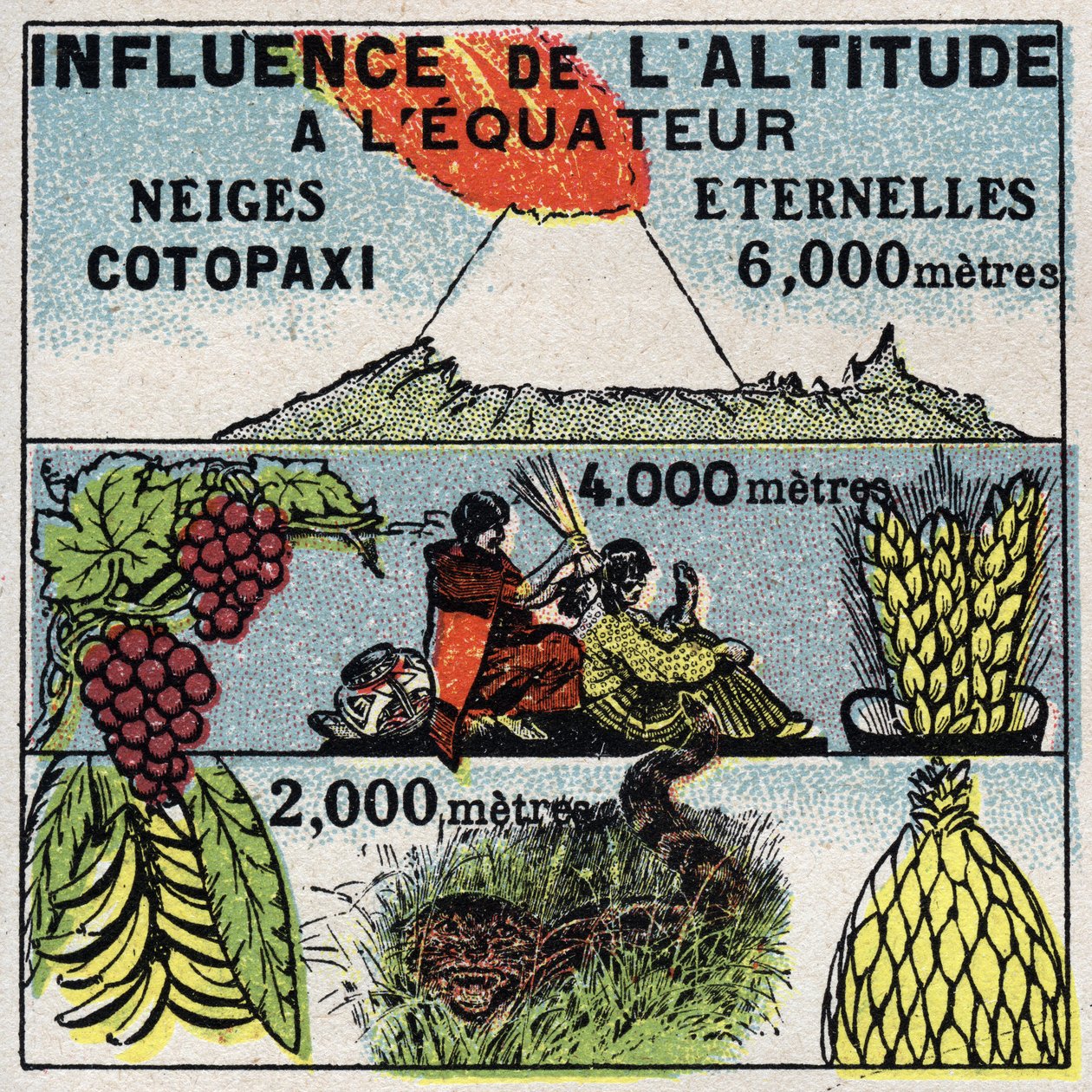 Meteorologi: højdens indflydelse på klimaet. Anonym illustration fra 1925. Privat samling. af Anonymous Anonymous
