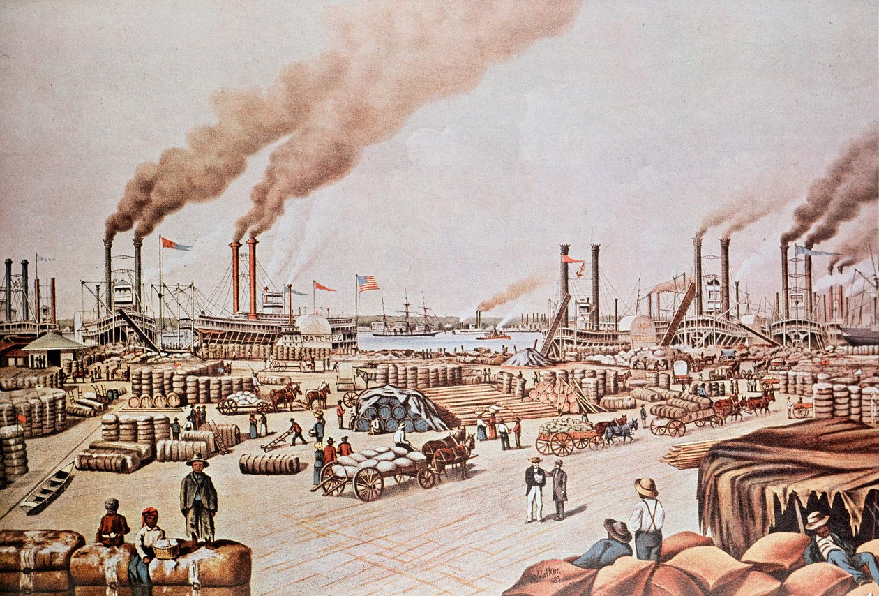 New Orleans Harbor Wharf (USA): Indlæsning af bomuld. 1876. Privat samling. af Anonymous Anonymous