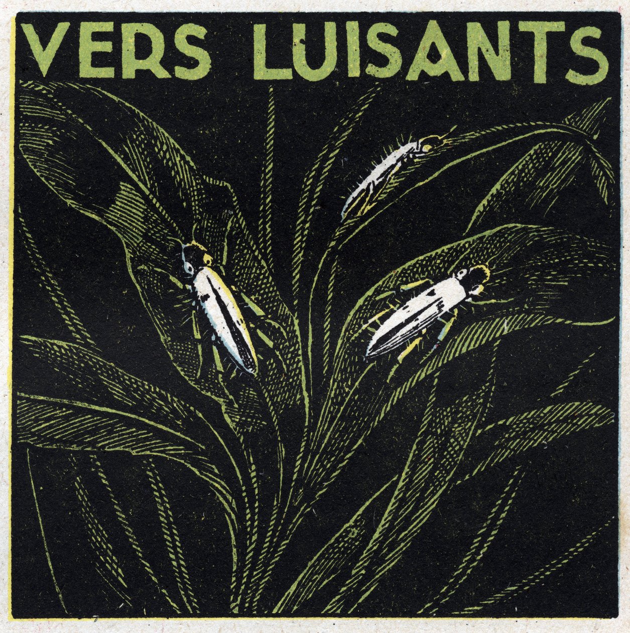 Fosforescens: glødende greens. Anonym illustration fra 1925. Privat samling. af Anonymous Anonymous