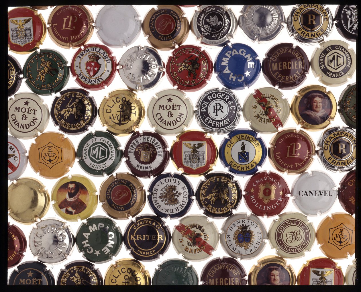 Placomusophilia - Champagnekapsel - Museletplade af Anonymous Anonymous