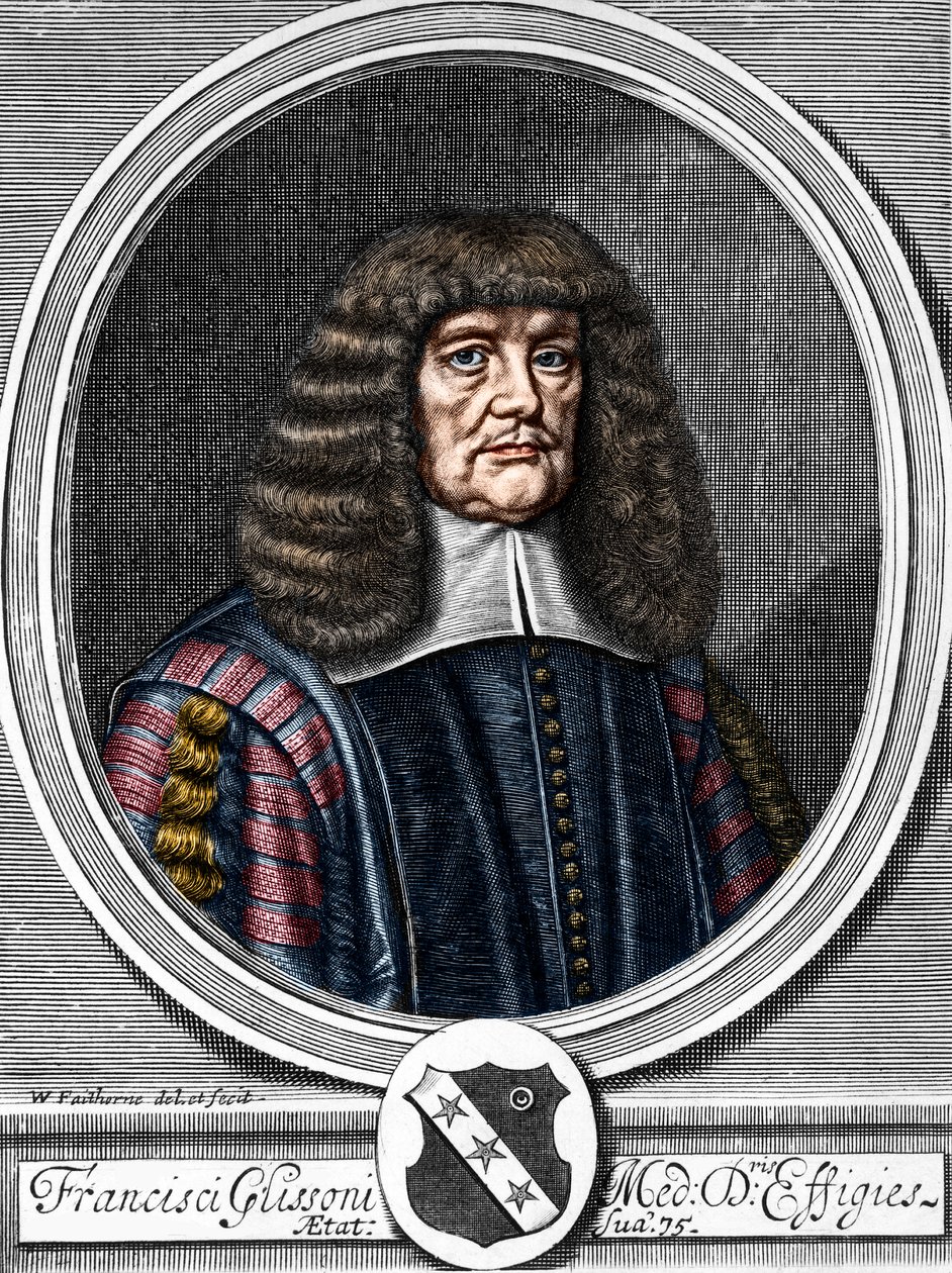 Portræt af Francis Glisson (1599-1677) britisk læge, anatom. af Anonymous Anonymous