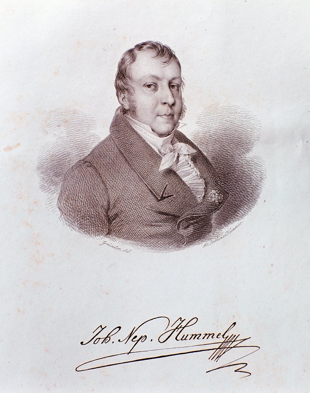 Portræt af Johann Nepomuk Hummel (stik af Anonymous Anonymous