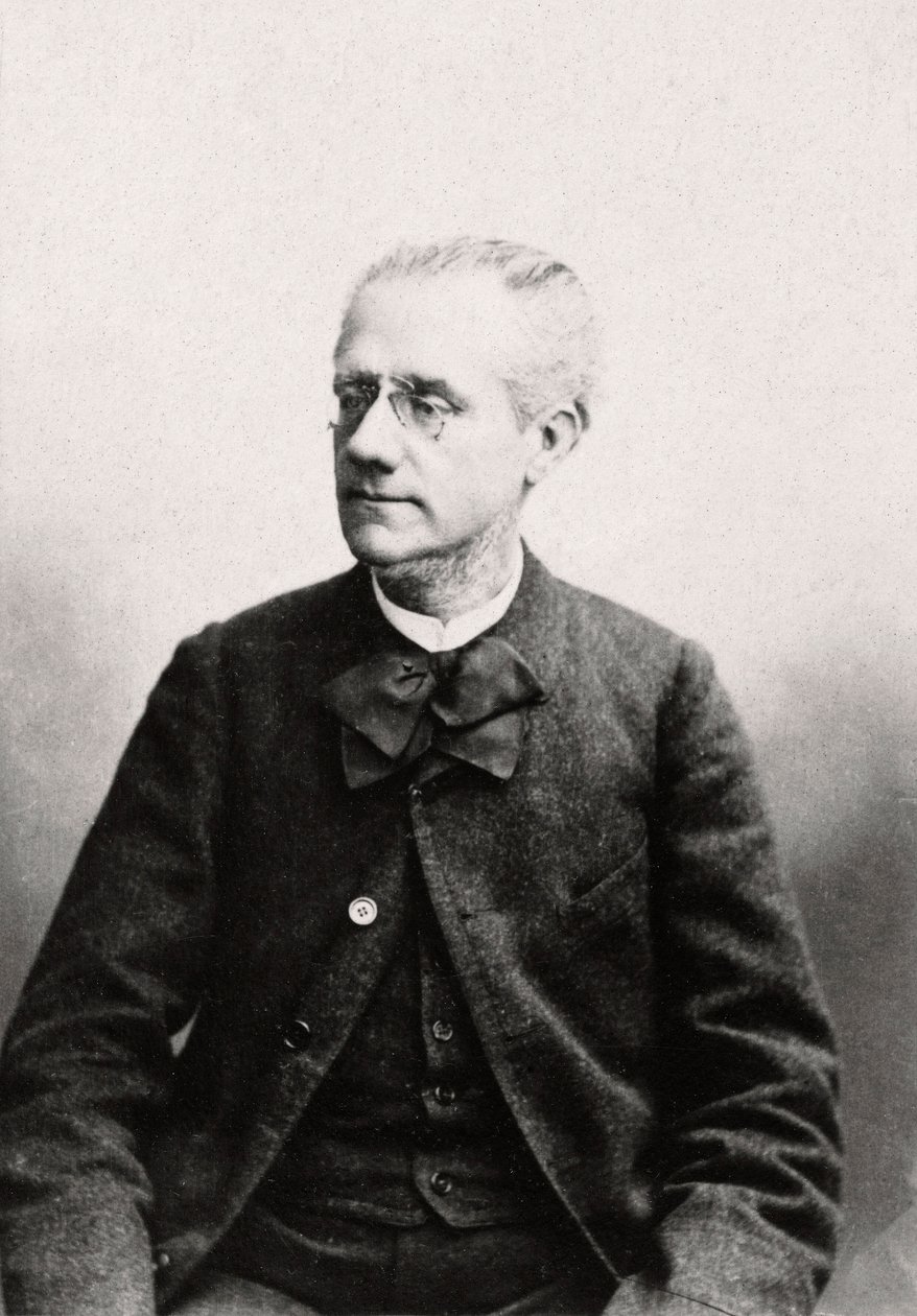Portræt af Louis Eugene Pouillet (1835-1905) Advokat, privat samling af Anonymous Anonymous