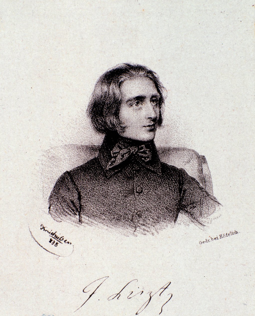 Portræt af den ungarske komponist Franz Liszt (1811-1886) Indgravering. 19. århundrede. Milanesisk privat samling af Anonymous Anonymous