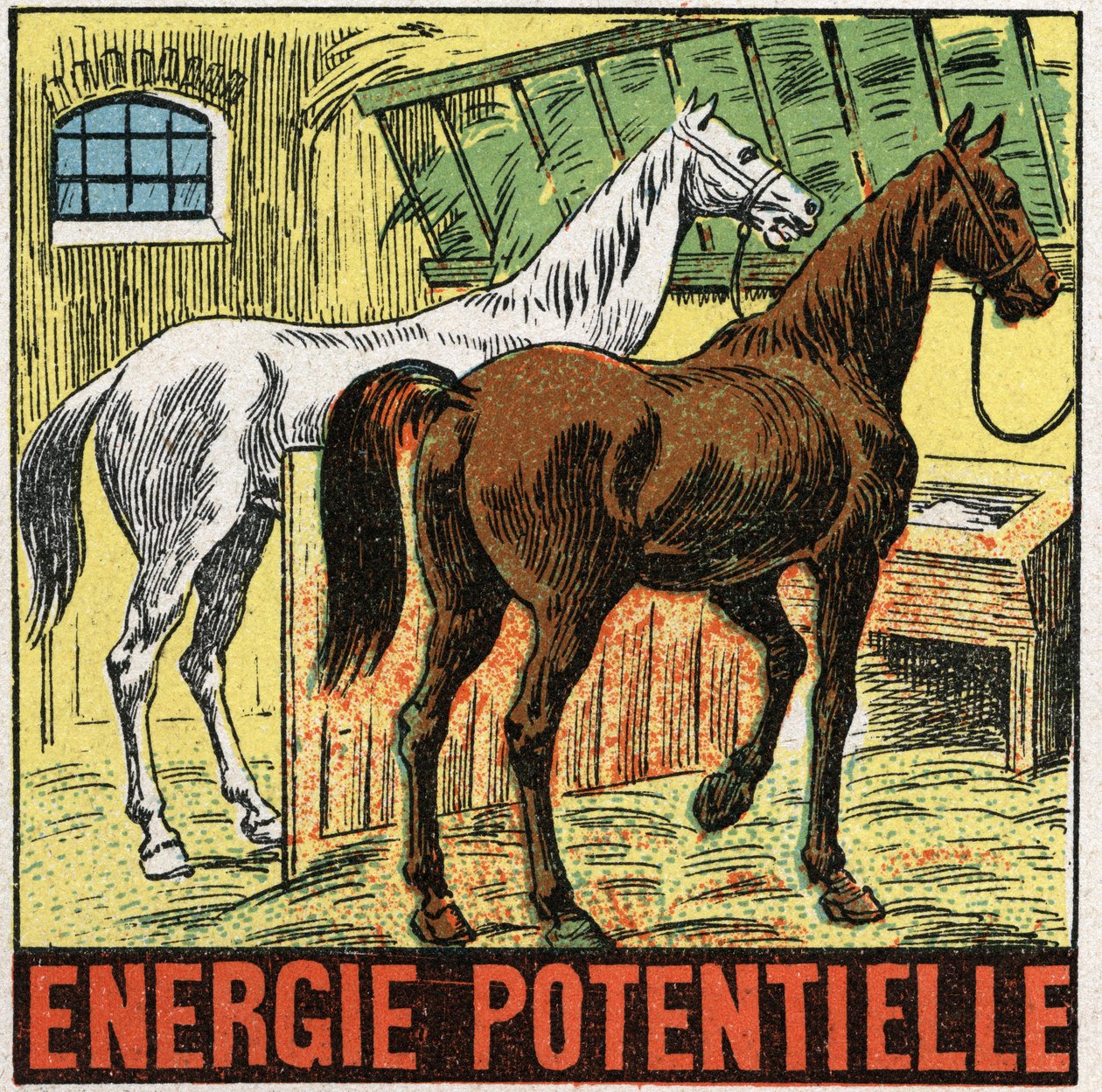 Potentiel energi: heste hviler i en stald. Anonym illustration fra 1925. Privat samling. af Anonymous Anonymous